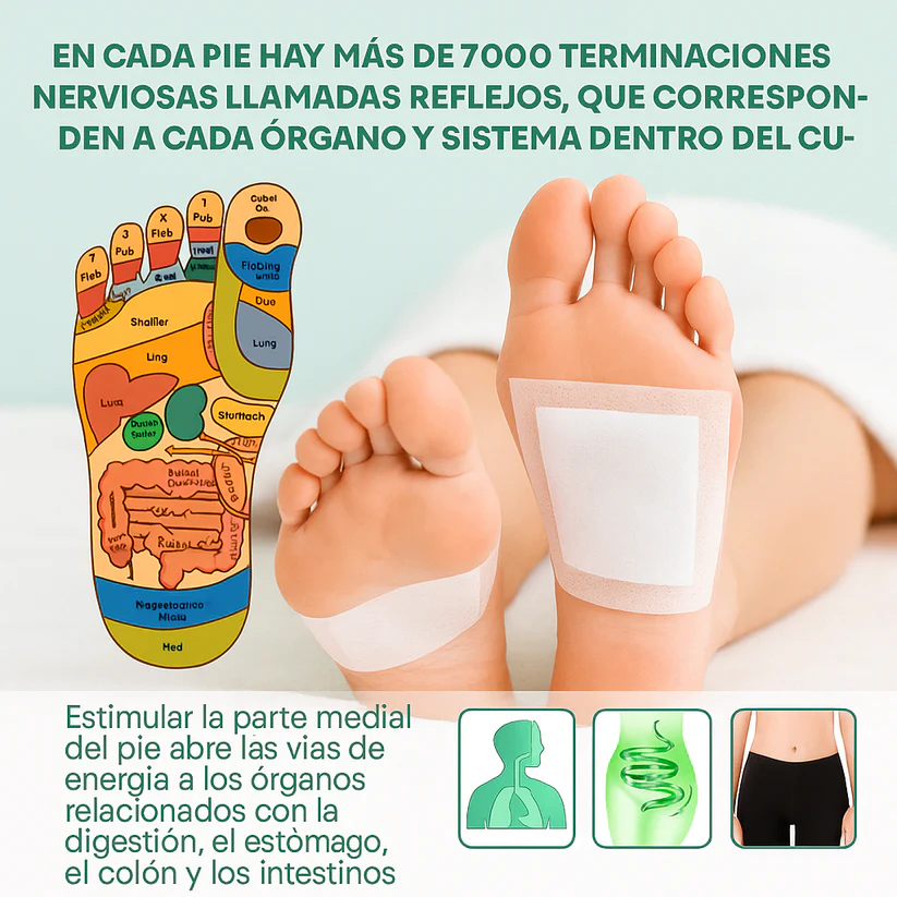 Kinoki Parche Desintoxicante